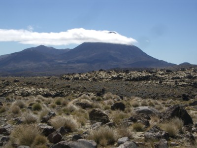 8_Tongariro_IMGP3844.JPG
05.03.2005
