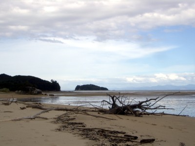 9_Abel-Tasman-NP_IMGP3927.JPG
26.03.2005
