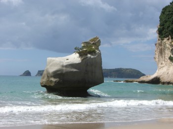 CIMG0742_Cathedral_Cove.JPG
