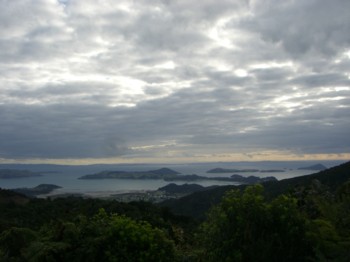 CIMG0761_Coromandel.JPG
