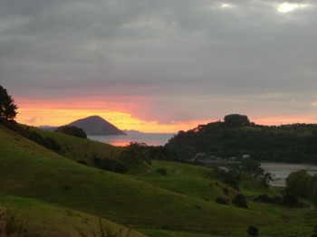 CIMG0835_Coromandel.JPG
