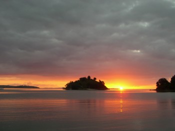 CIMG0836ex28_Coromandel.JPG
