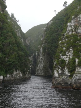 P1020666_TsitsikamaNP.JPG
12.03.2007
