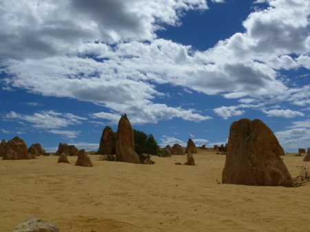 P1050597-Nambung.JPG
26.03.2008
