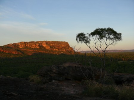 P1070655-Kakadu.JPG
15.04.2008
