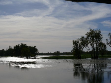 P1070805-Kakadu.JPG
16.04.2008
